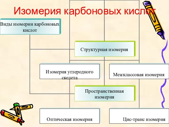 Изомерия карбоновых кислот