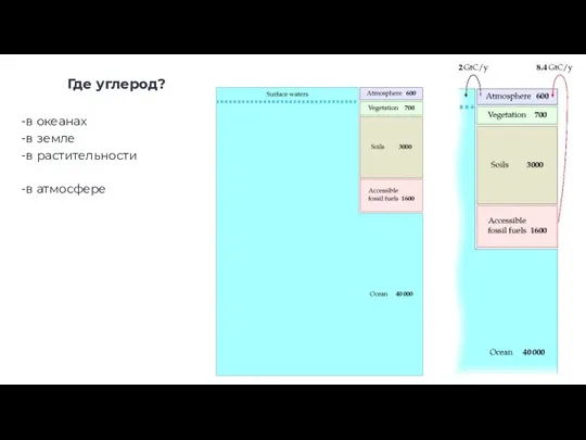 Где углерод? -в океанах -в земле -в растительности -в атмосфере