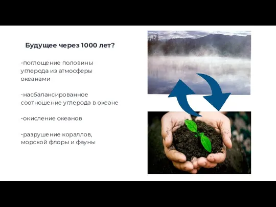 Будущее через 1000 лет? -поглощение половины углерода из атмосферы океанами -насбалансированное соотношение