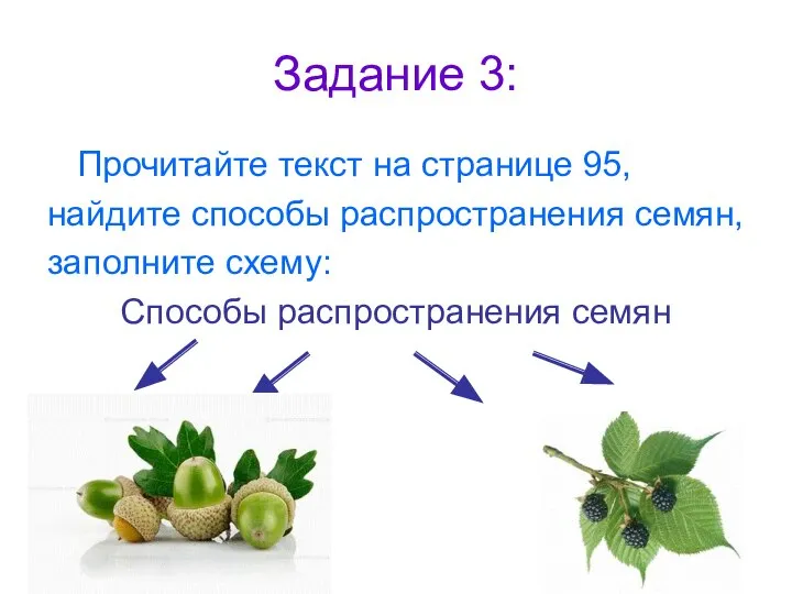 Задание 3: Прочитайте текст на странице 95, найдите способы распространения семян, заполните схему: Способы распространения семян