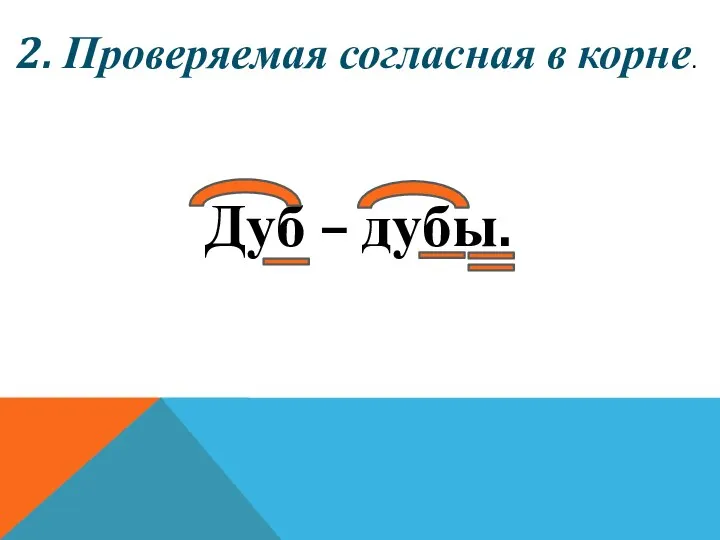 2. Проверяемая согласная в корне. Дуб – дубы.