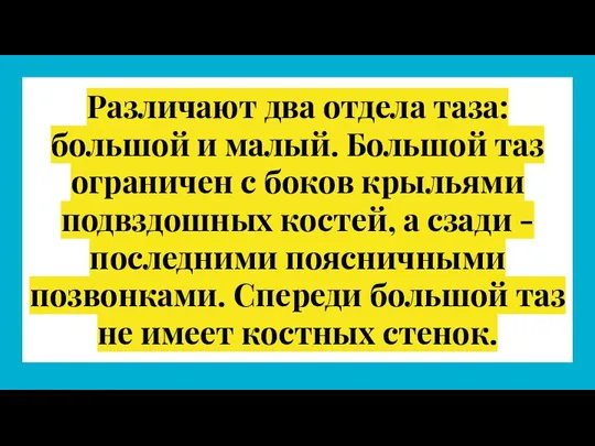 Различают два отдела таза: большой и малый. Большой таз ограничен с боков