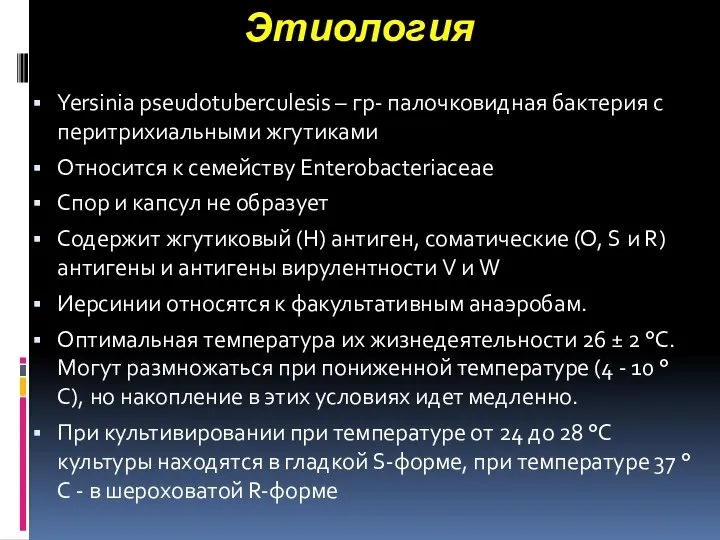 Этиология Yersinia pseudotuberculesis – гр- палочковидная бактерия с перитрихиальными жгутиками Относится к