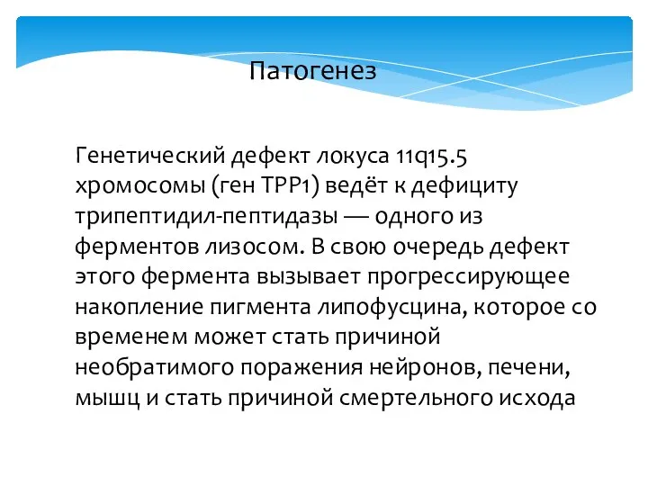 Патогенез Генетический дефект локуса 11q15.5 хромосомы (ген TPP1) ведёт к дефициту трипептидил-пептидазы