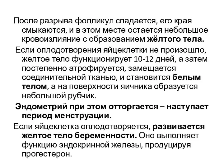 После разрыва фолликул спадается, его края смыкаются, и в этом месте остается