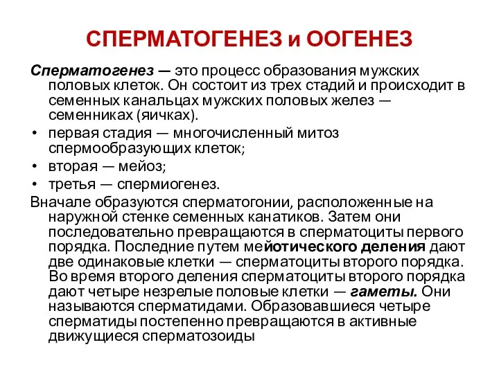 СПЕРМАТОГЕНЕЗ и ООГЕНЕЗ Сперматогенез — это процесс образования мужских половых клеток. Он