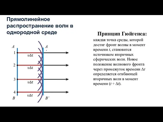 Прямолинейное распространение волн в однородной среде каждая точка среды, которой достиг фронт