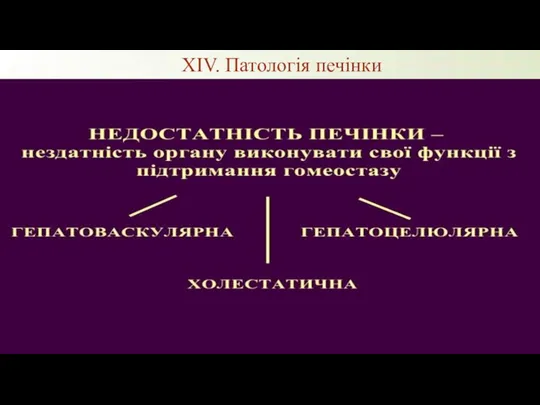 XIV. Патологія печінки