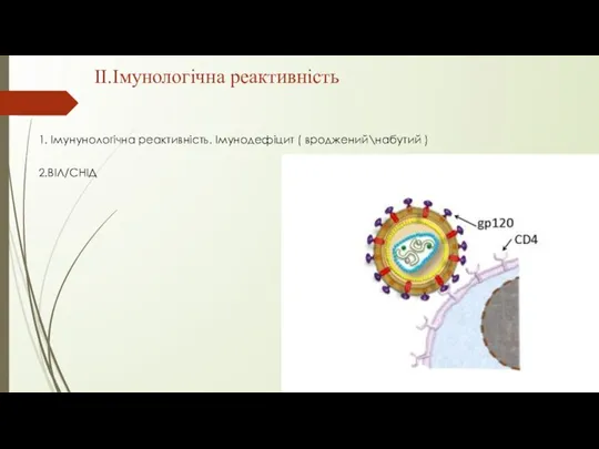 II.Імунологічна реактивність 1. Імунунологічна реактивність. Імунодефіцит ( вроджений\набутий ) 2.ВІЛ/СНІД