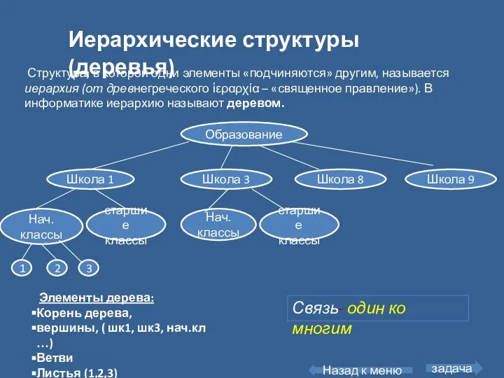 Иерархические структуры (деревья) Элементы дерева: Корень дерева, вершины, ( шк1, шк3, нач.кл