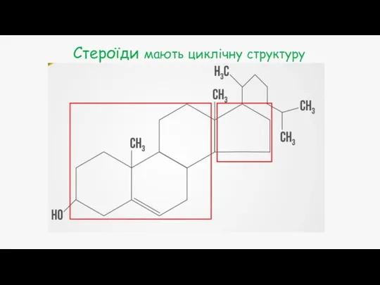 Стероїди мають циклічну структуру