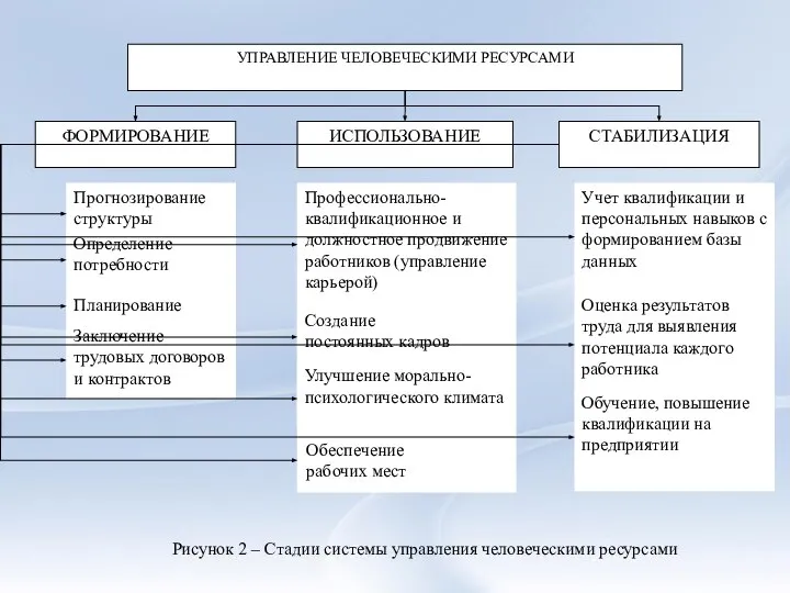 Рисунок 2 – Стадии системы управления человеческими ресурсами