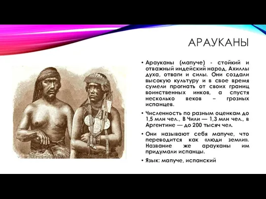 АРАУКАНЫ Арауканы (мапуче) - стойкий и отважный индейский народ, Ахиллы духа, отваги