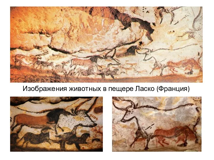 Изображения животных в пещере Ласко (Франция)