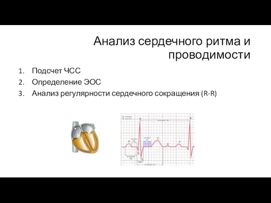 Анализ сердечного ритма и проводимости Подсчет ЧСС Определение ЭОС Анализ регулярности сердечного сокращения (R-R)