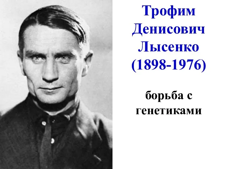 Трофим Денисович Лысенко (1898-1976) борьба с генетиками