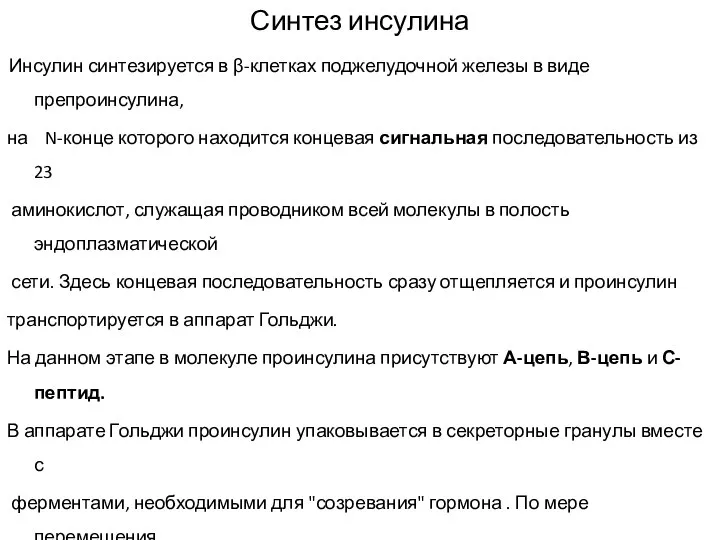 Синтез инсулина Инсулин синтезируется в β-клетках поджелудочной железы в виде препроинсулина, на