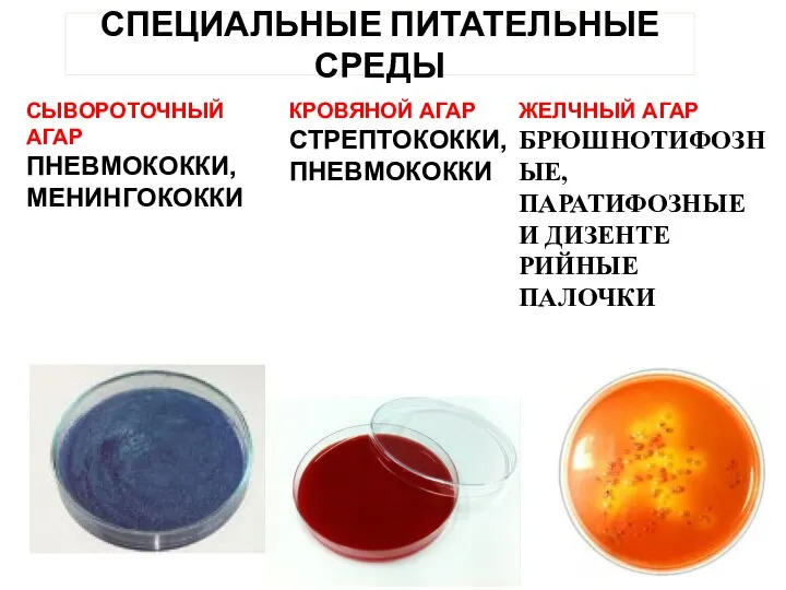 СПЕЦИАЛЬНЫЕ ПИТАТЕЛЬНЫЕ СРЕДЫ КРОВЯНОЙ АГАР СТРЕПТОКОККИ, ПНЕВМОКОККИ СЫВОРОТОЧНЫЙ АГАР ПНЕВМОКОККИ, МЕНИНГОКОККИ ЖЕЛЧНЫЙ