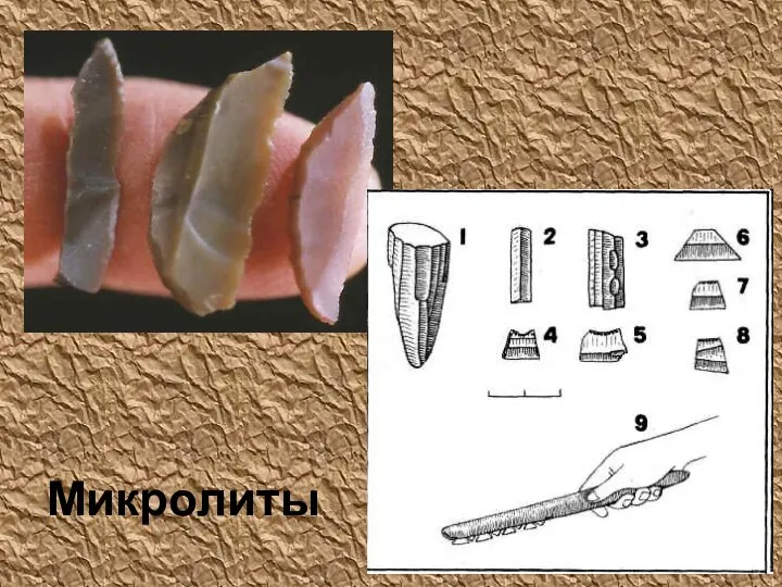 Микролиты