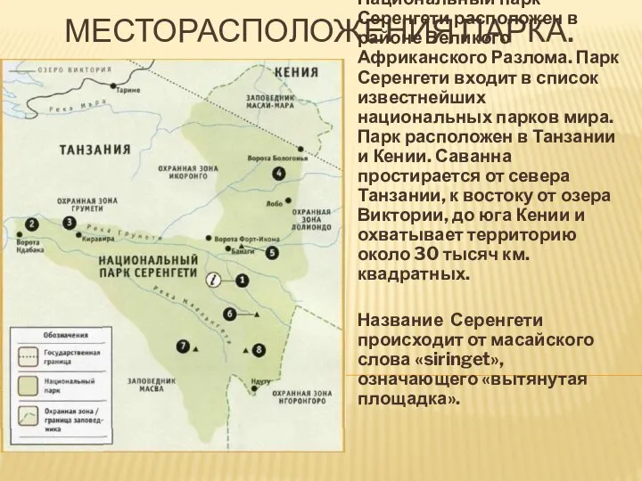 МЕСТОРАСПОЛОЖЕНИЯ ПАРКА. Национальный парк Серенгети расположен в районе Великого Африканского Разлома. Парк