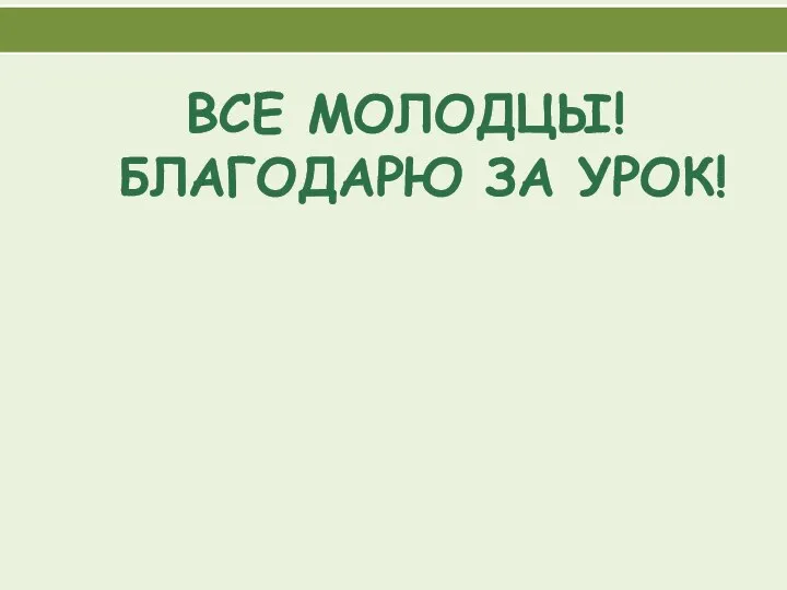 ВСЕ МОЛОДЦЫ! БЛАГОДАРЮ ЗА УРОК!