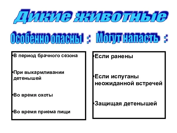 Дикие животные Особенно опасны : Могут напасть : В период брачного сезона