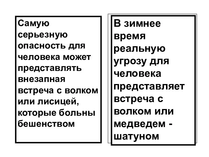 Самую серьезную опасность для человека может представлять внезапная встреча с волком или