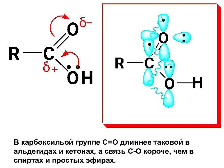 В карбоксильой группе С=О длиннее таковой в альдегидах и кетонах, а связь