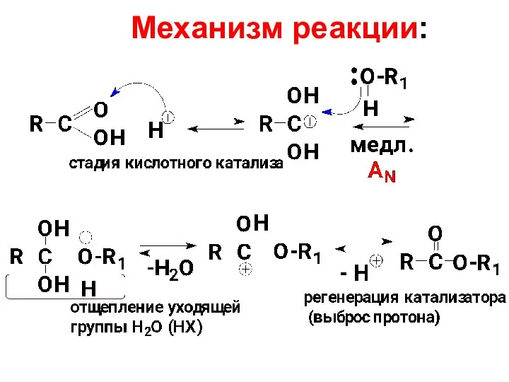 Механизм реакции: