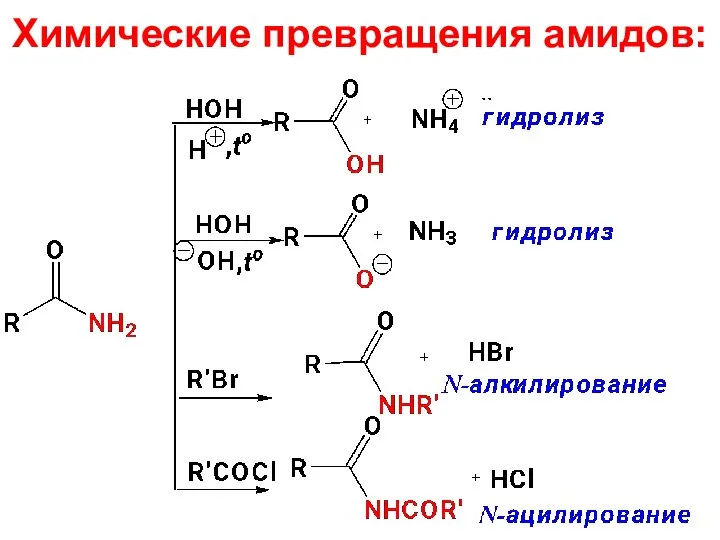 Химические превращения амидов: