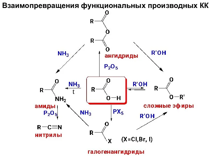 Взаимопревращения функциональных производных КК