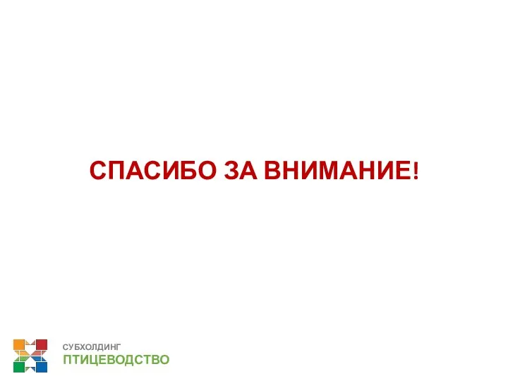 СПАСИБО ЗА ВНИМАНИЕ! СУБХОЛДИНГ ПТИЦЕВОДСТВО