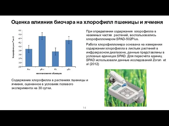 Оценка влияния биочара на хлорофилл пшеницы и ячменя При определении содержания хлорофилла