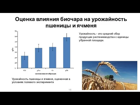 Оценка влияния биочара на урожайность пшеницы и ячменя Урожайность пшеницы и ячменя,