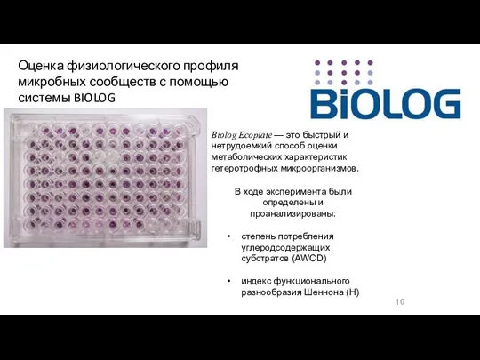 Оценка физиологического профиля микробных сообществ с помощью системы BIOLOG Biolog Ecoplate —