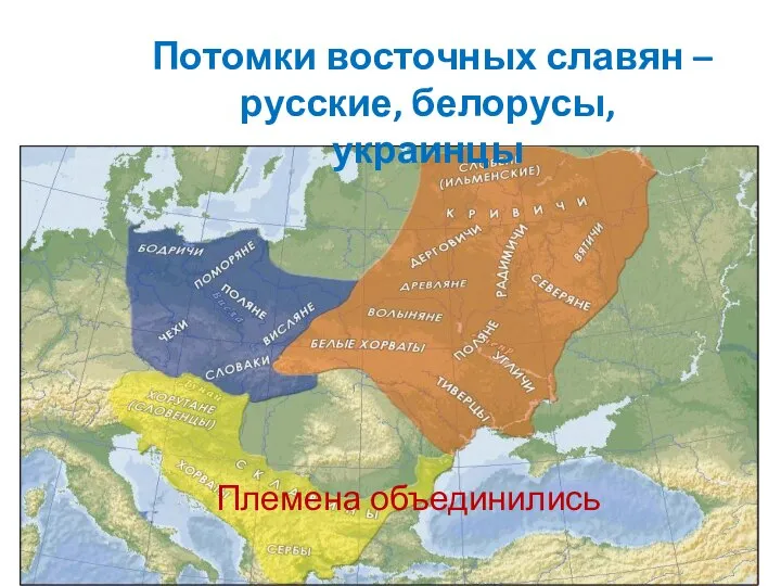 Потомки восточных славян – русские, белорусы, украинцы Племена объединились