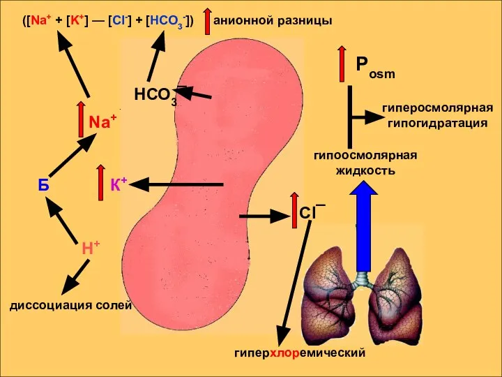 Рosm Na+ Б Н+ гипоосмолярная жидкость ([Na+ + [K+] — [Cl-] +