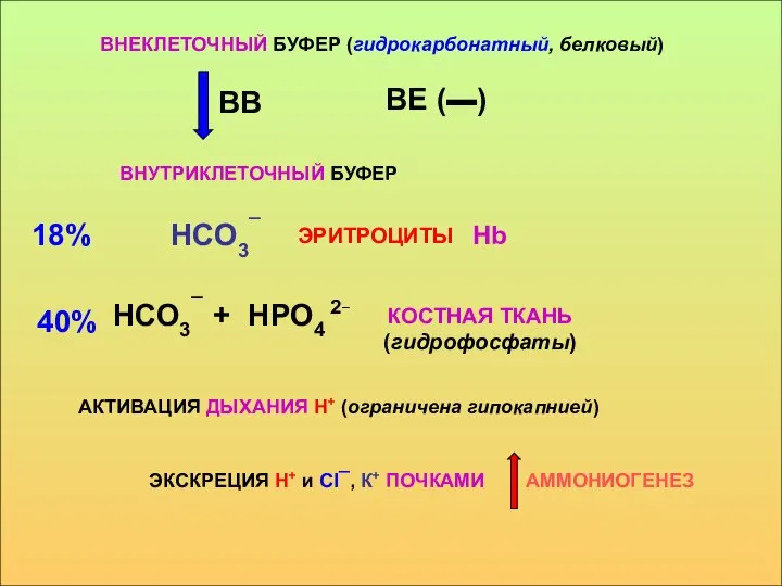 ВНЕКЛЕТОЧНЫЙ БУФЕР (гидрокарбонатный, белковый) ВВ ВЕ (▬) ВНУТРИКЛЕТОЧНЫЙ БУФЕР НСО3¯ 18% ЭРИТРОЦИТЫ