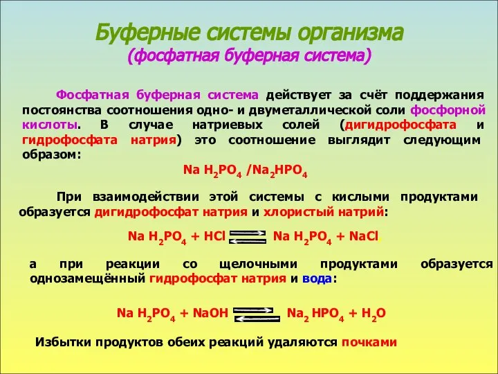 Буферные системы организма (фосфатная буферная система) Фосфатная буферная система действует за счёт