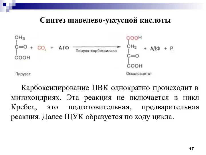 Синтез щавелево-уксусной кислоты Карбоксилирование ПВК однократно происходит в митохондриях. Эта реакция не