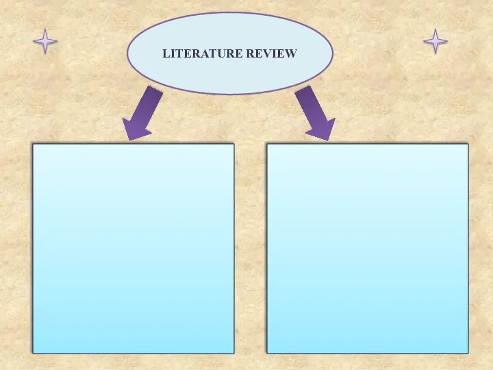 LITERATURE REVIEW