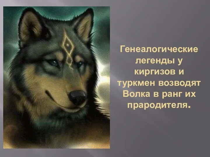 Генеалогические легенды у киргизов и туркмен возводят Волка в ранг их прародителя.