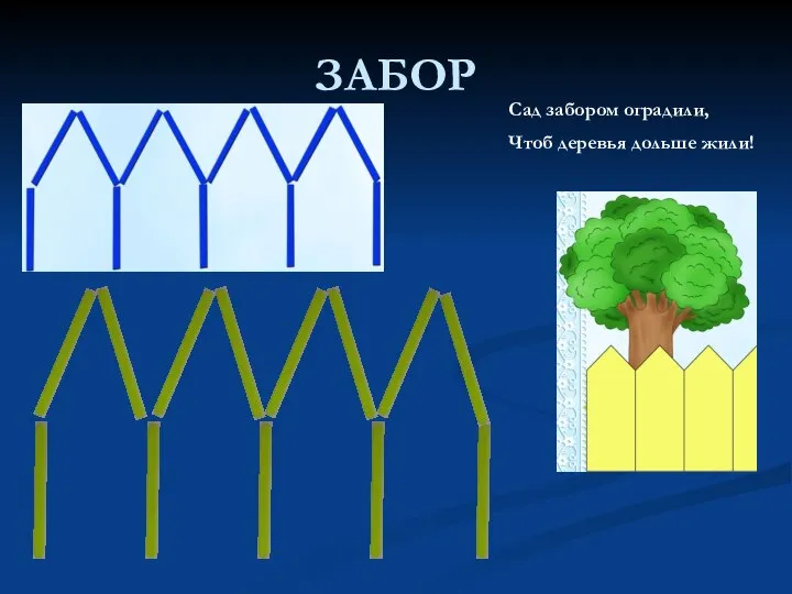 ЗАБОР Сад забором оградили, Чтоб деревья дольше жили!