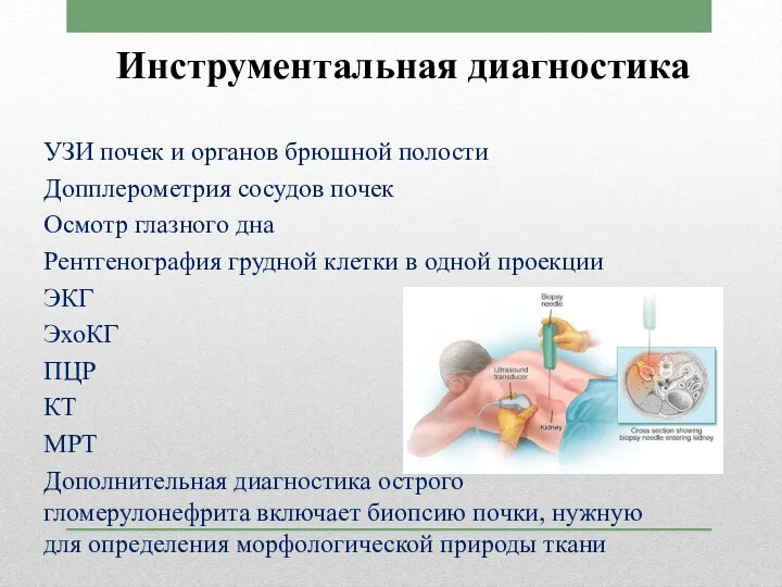 Инструментальная диагностика УЗИ почек и органов брюшной полости Допплерометрия сосудов почек Осмотр