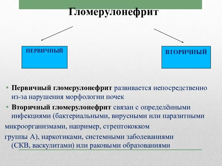 Гломерулонефрит Первичный гломерулонефрит развивается непосредственно из-за нарушения морфологии почек Вторичный гломерулонефрит связан