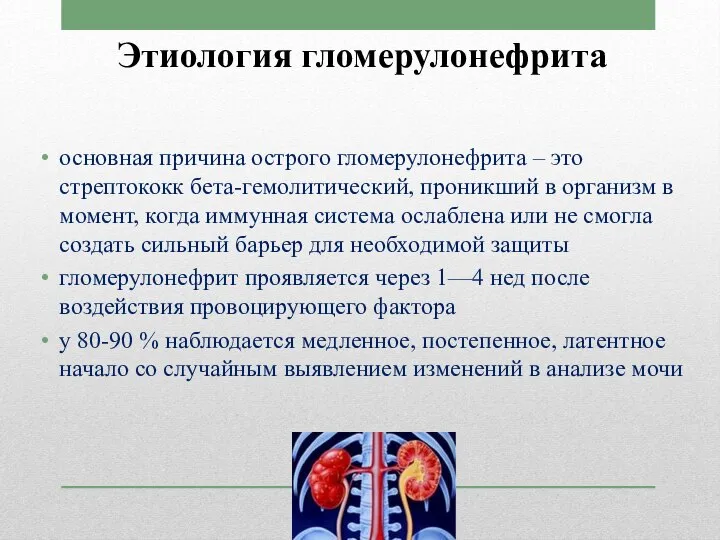 Этиология гломерулонефрита основная причина острого гломерулонефрита – это стрептококк бета-гемолитический, проникший в