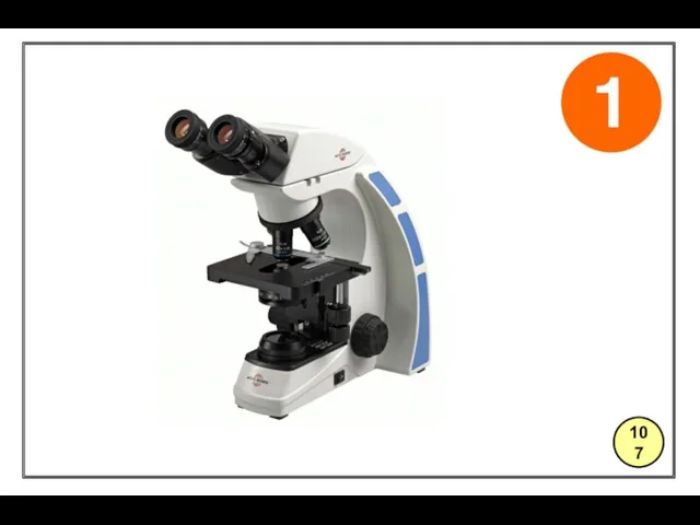 microscope