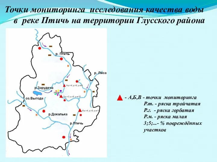 Точки мониторинга исследования качества воды в реке Птичь на территории Глусского района