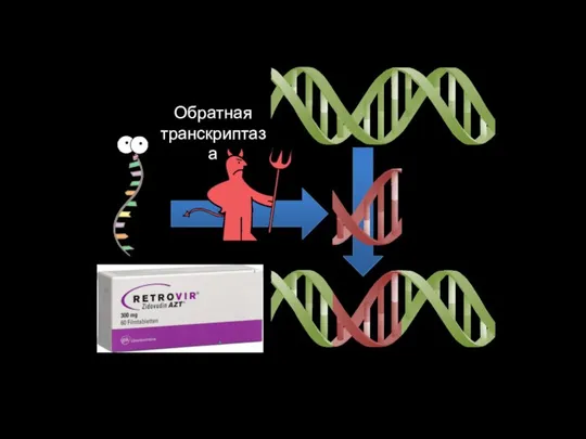 Обратная транскриптаза