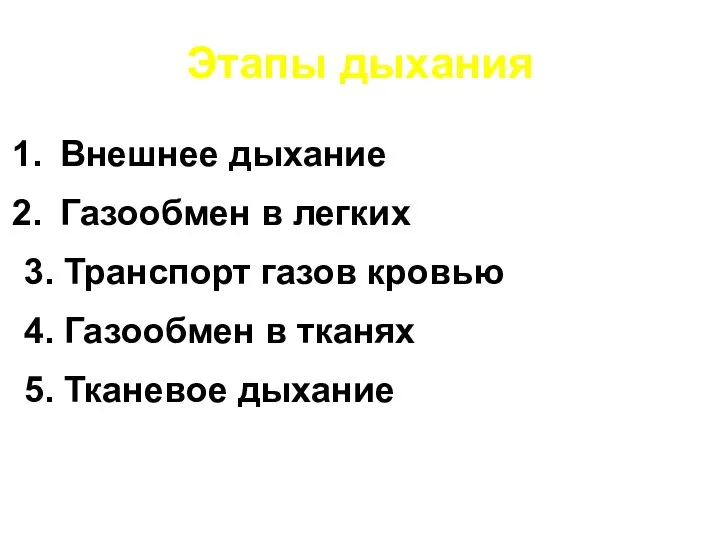 Этапы дыхания Внешнее дыхание Газообмен в легких 3. Транспорт газов кровью 4.